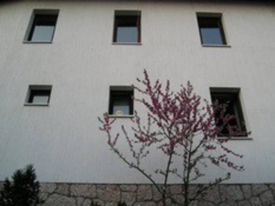 Apartment In Old Town - Top Location 사라예보 외부 사진